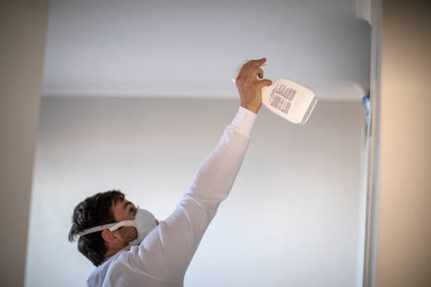 Best DIY Mold Remediation Support Services in Lake City, FL