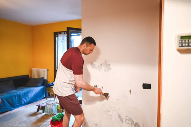 Best Health and Safety Mold Remediation in Lake City, FL
